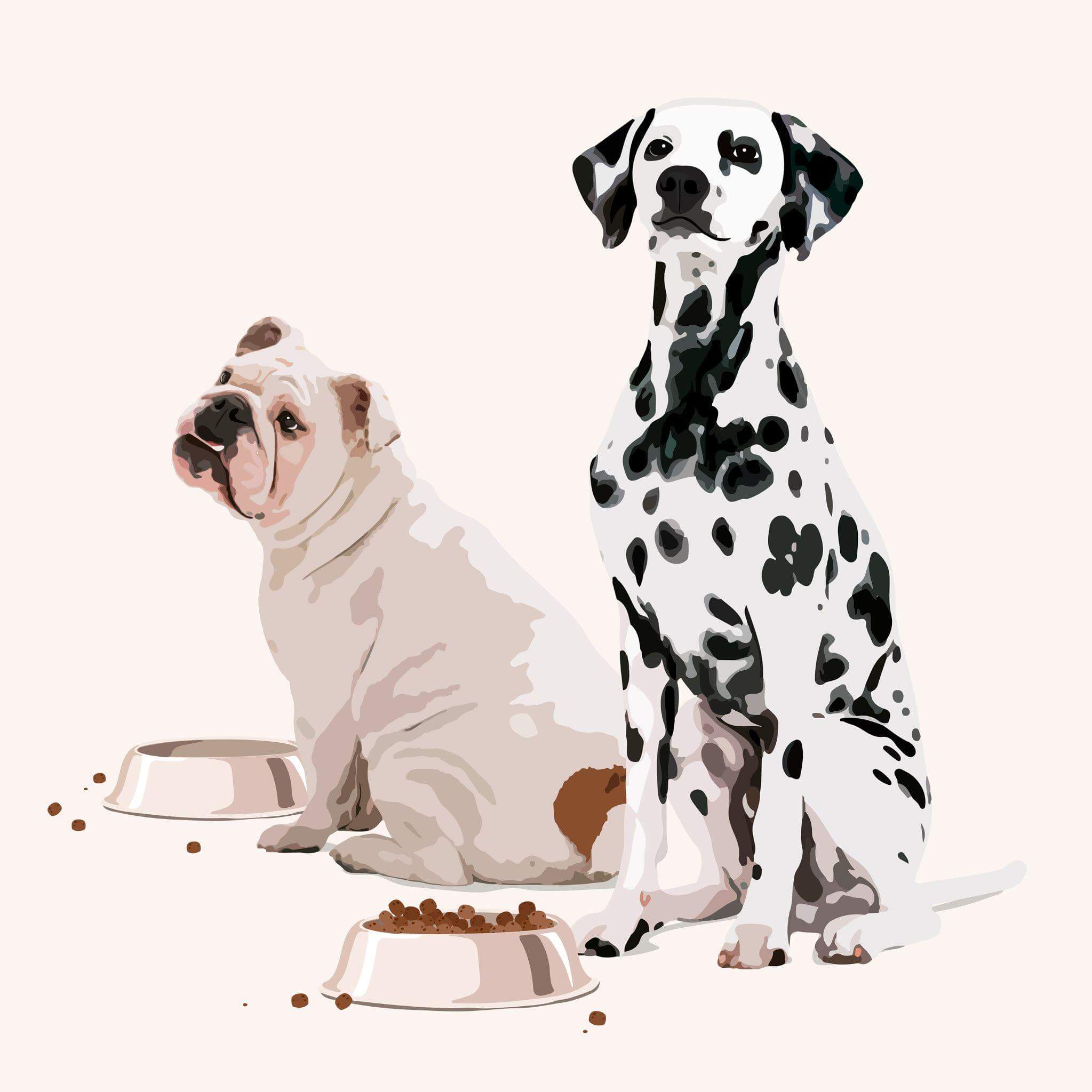 best puppy food for large breeds